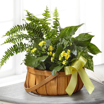 Always Dear Dishgarden – MAGGIE'S FLORIST AND GIFTS, Decatur AL