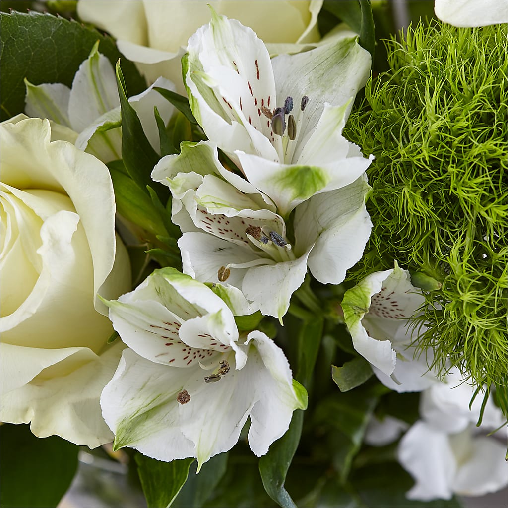 Classic Ivory – A Florist Original – MAGGIE'S FLORIST AND GIFTS, Decatur AL