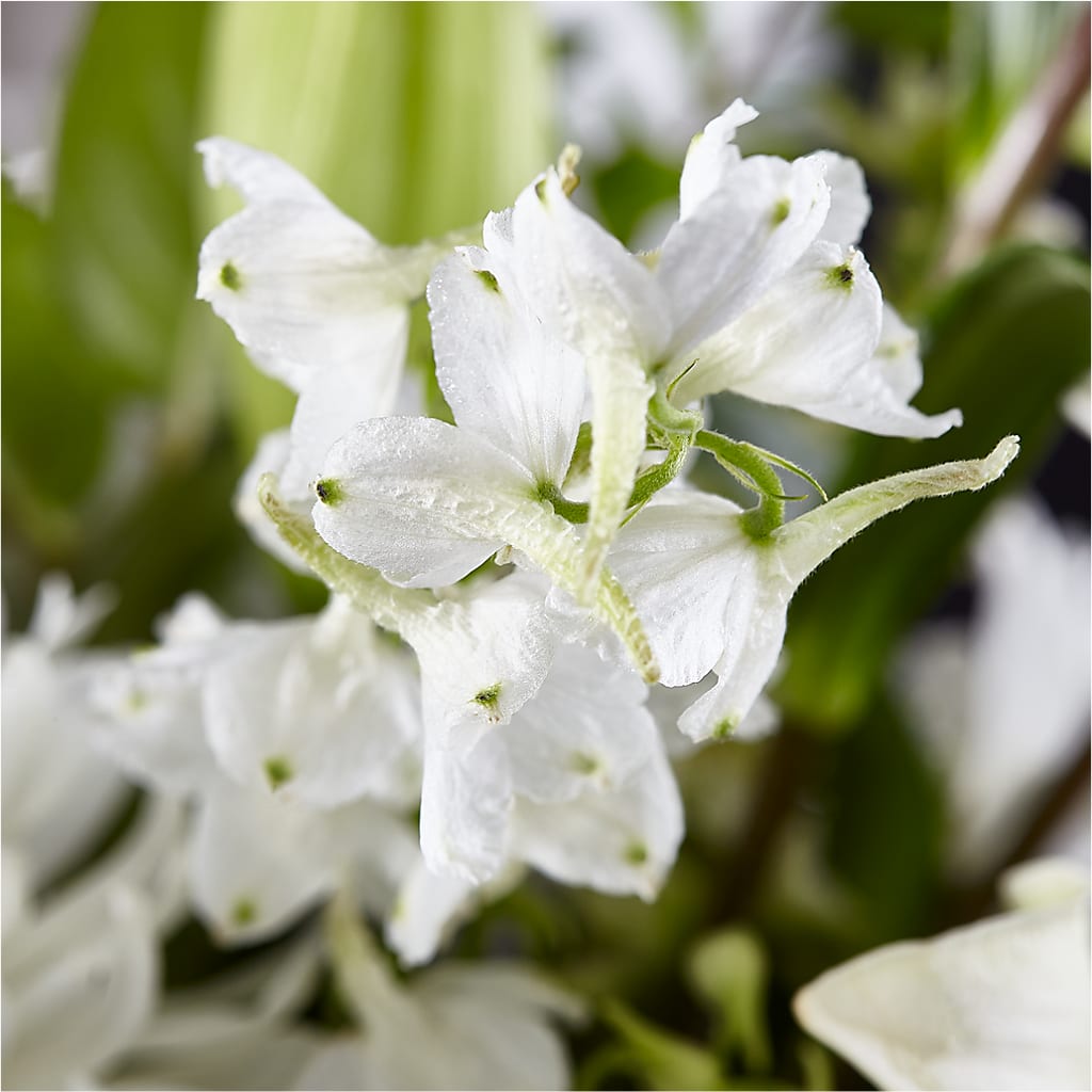 Classic Ivory – A Florist Original – MAGGIE'S FLORIST AND GIFTS, Decatur AL