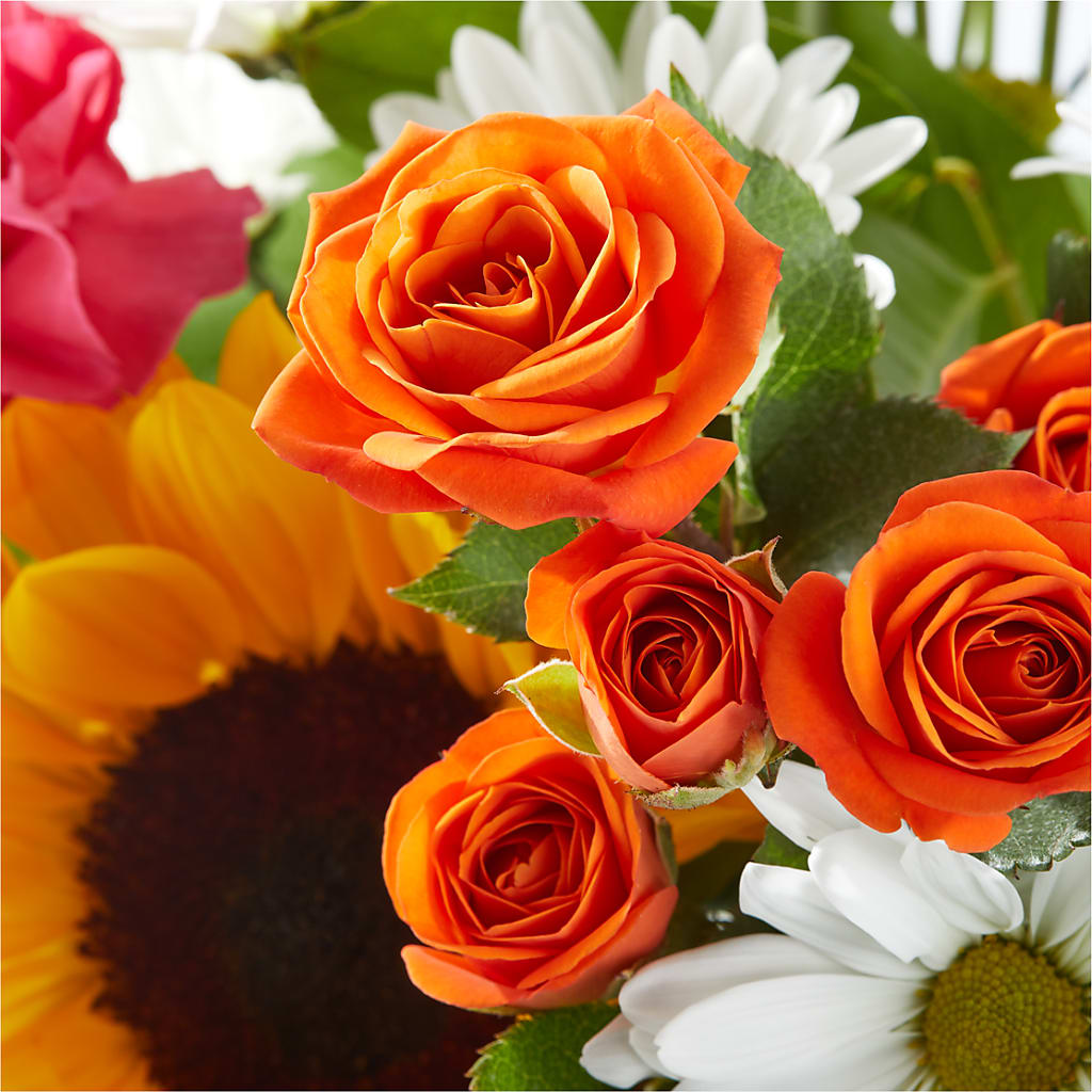 Sun-drenched Blooms Bouquet – MAGGIE'S FLORIST AND GIFTS, Decatur AL