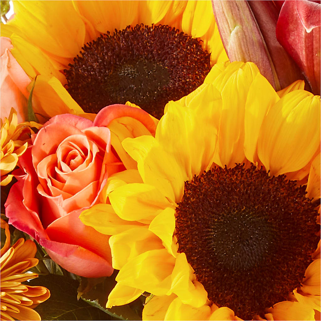 Acorn Lane Bouquet – MAGGIE'S FLORIST AND GIFTS, Decatur AL
