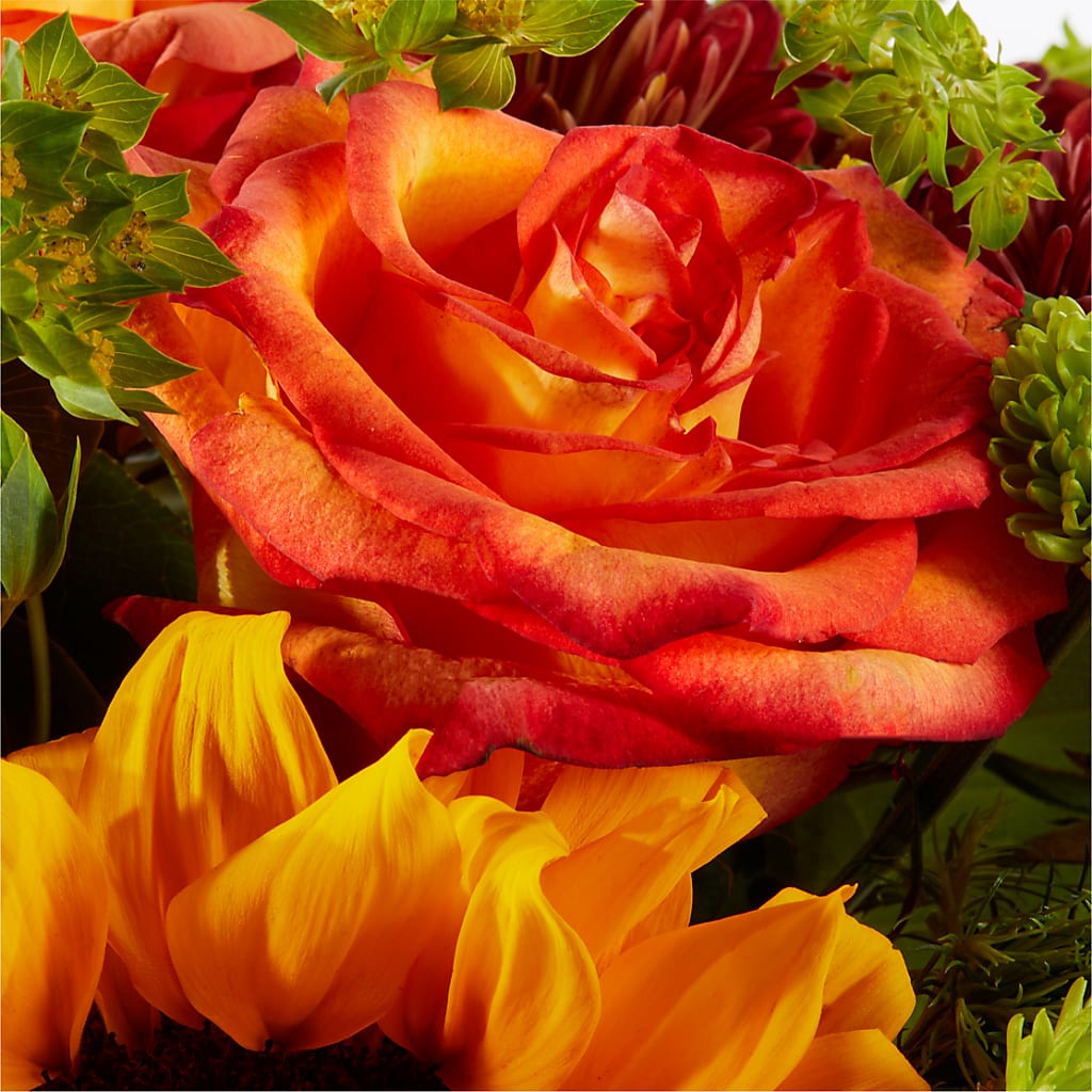 Harvest Festival Bouquet – MAGGIE'S FLORIST AND GIFTS, Decatur AL