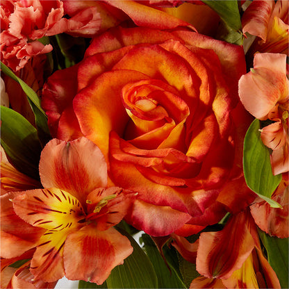 Apricot Glow Bouquet – MAGGIE'S FLORIST AND GIFTS, Decatur AL