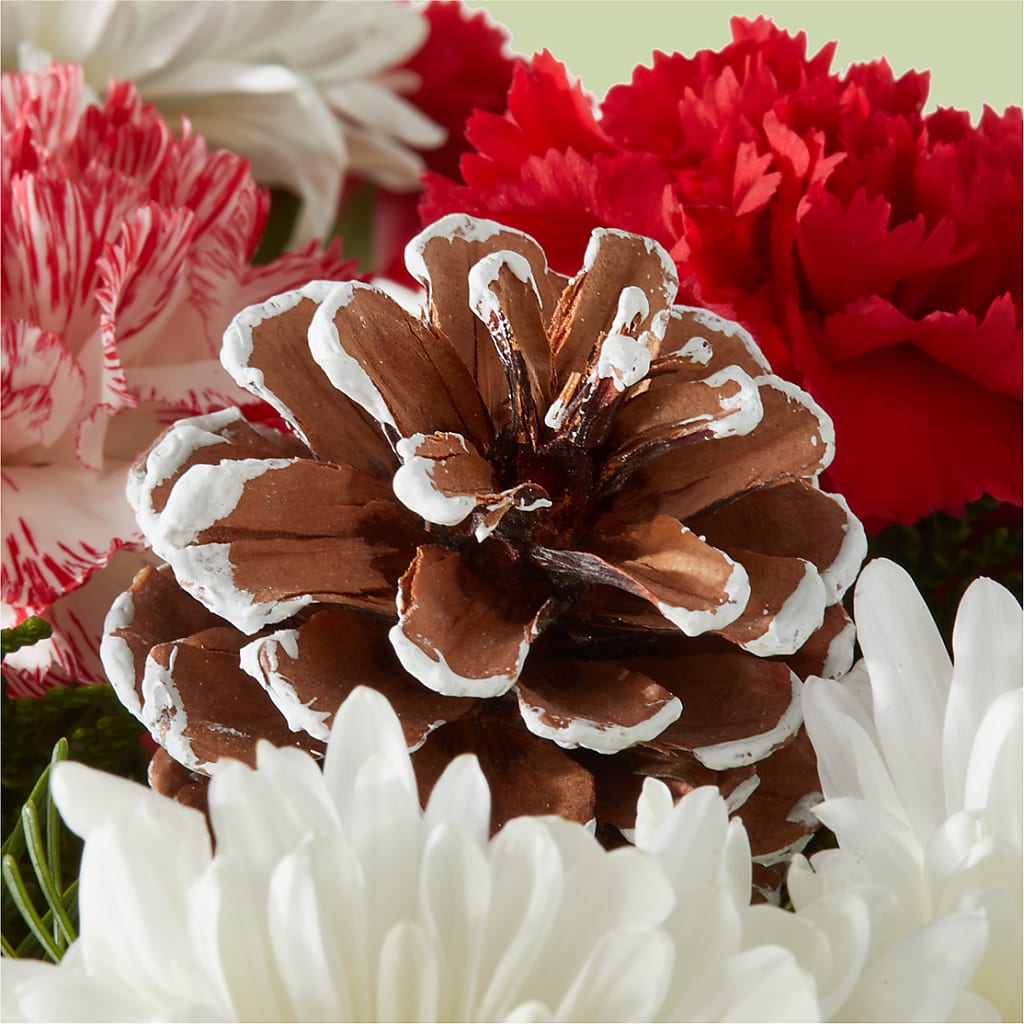 Candy Cane Lane Bouquet – MAGGIE'S FLORIST AND GIFTS, Decatur AL