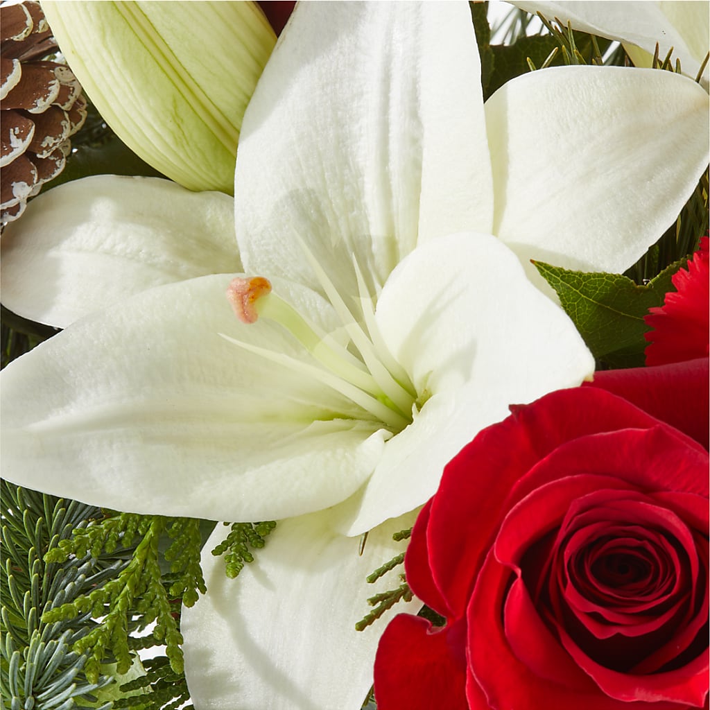 Oh So Jolly Bouquet – MAGGIE'S FLORIST AND GIFTS, Decatur AL