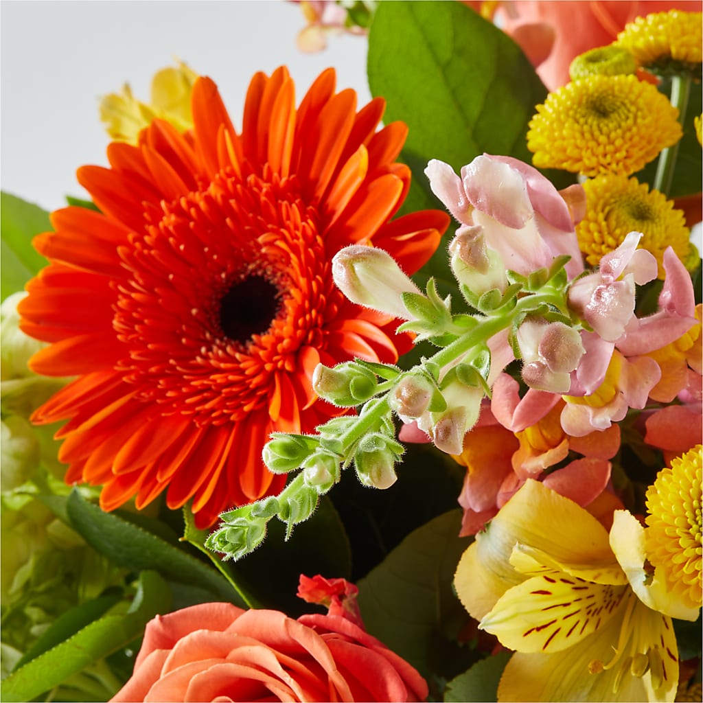Autumn Sunshine Bouquet – MAGGIE'S FLORIST AND GIFTS, Decatur AL