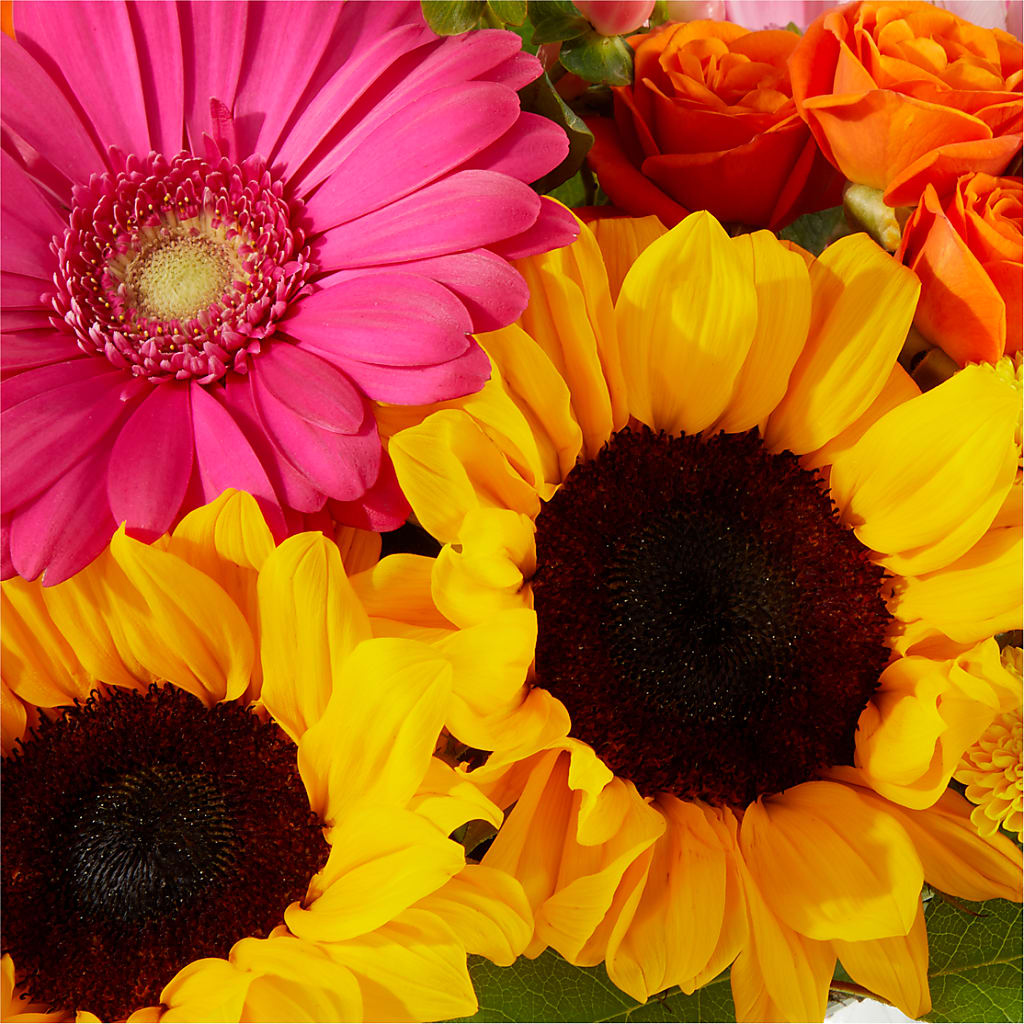Beach Day Bouquet – MAGGIE'S FLORIST AND GIFTS, Decatur AL