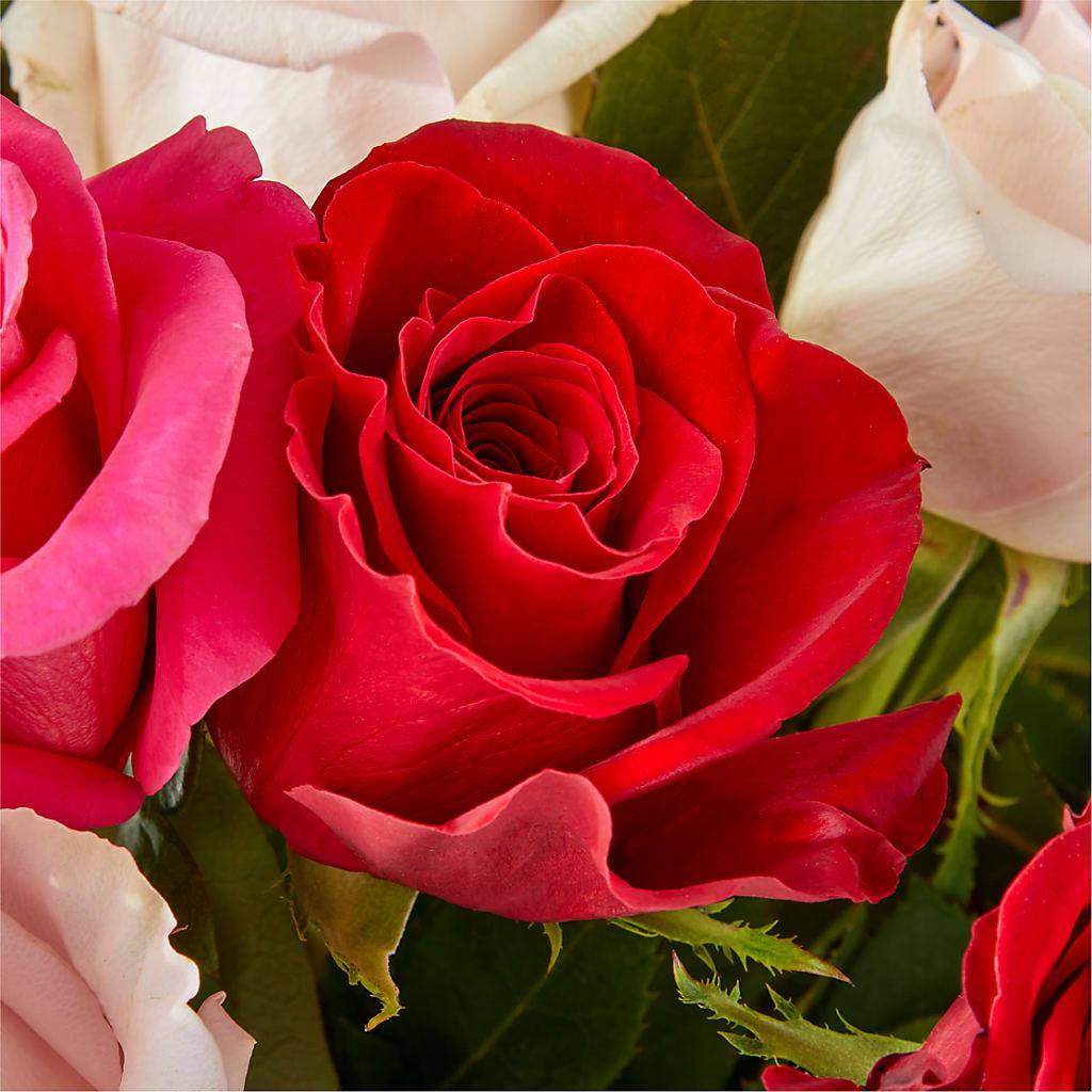 Charming Rose Bouquet – MAGGIE'S FLORIST AND GIFTS, Decatur AL
