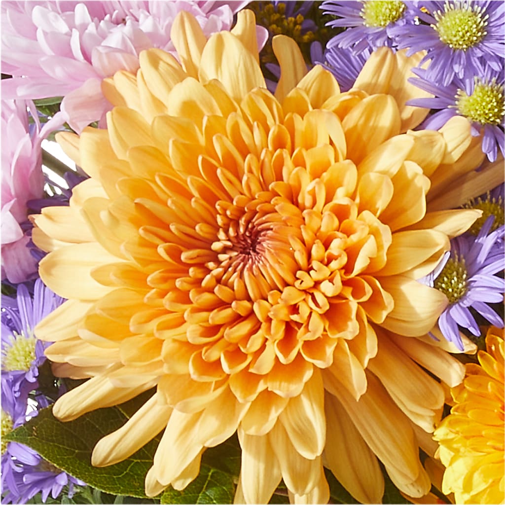 Countryside Bouquet – MAGGIE'S FLORIST AND GIFTS, Decatur AL