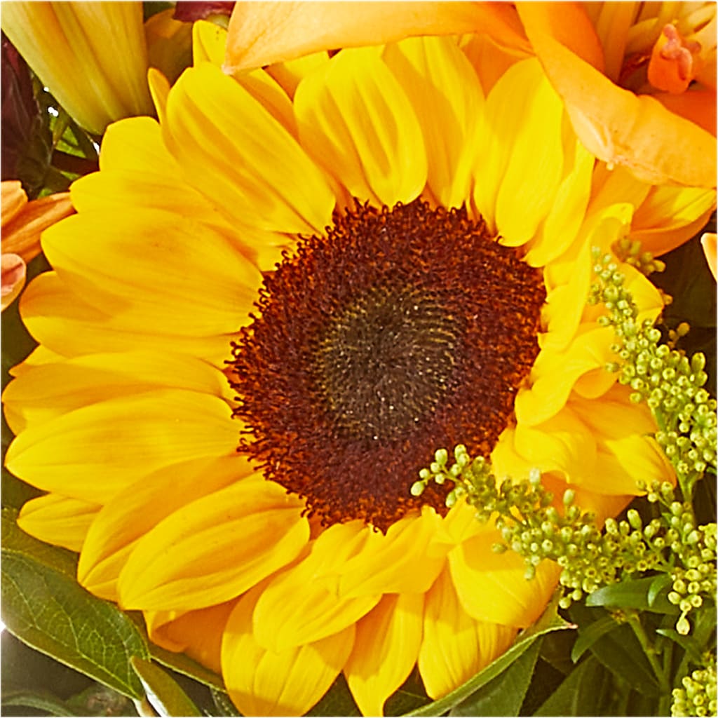 Seasons Change Bouquet – MAGGIE'S FLORIST AND GIFTS, Decatur AL