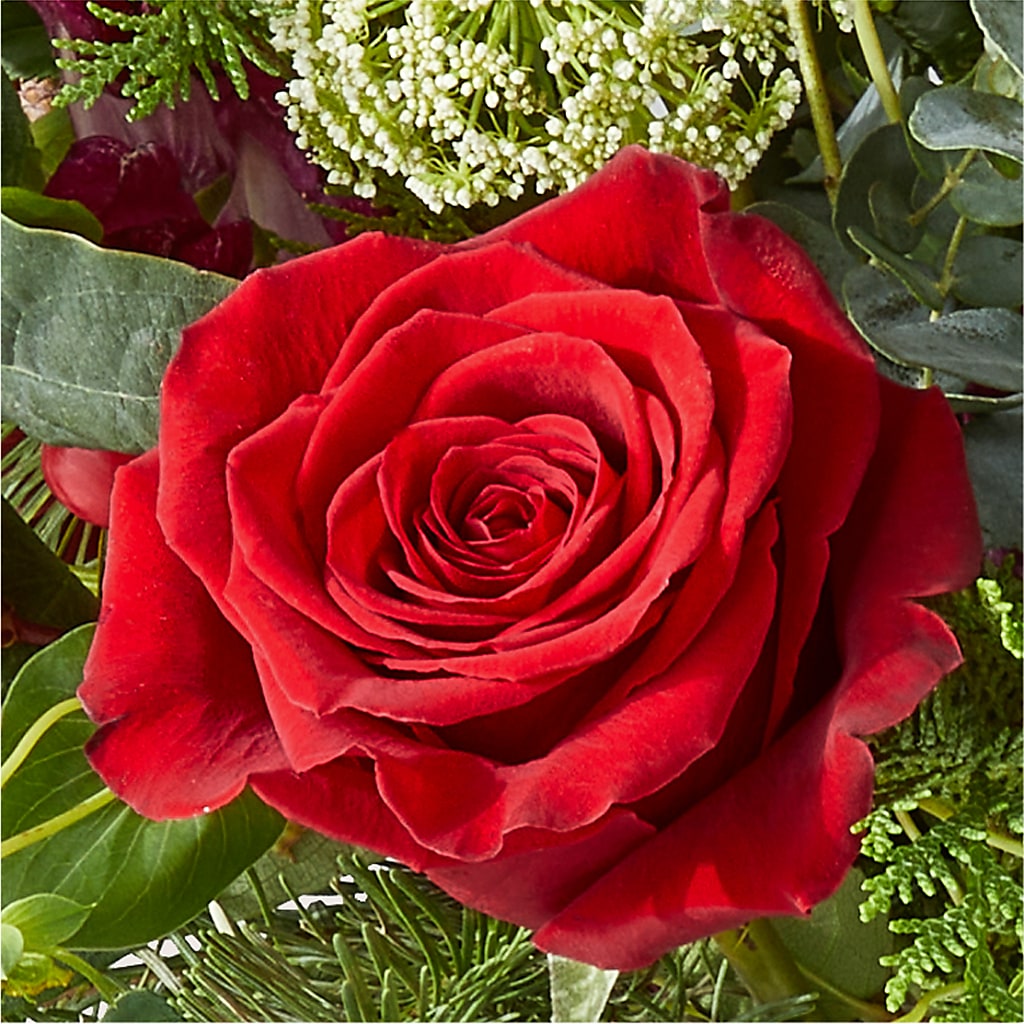 Cranberry Fizz Bouquet – MAGGIE'S FLORIST AND GIFTS, Decatur AL