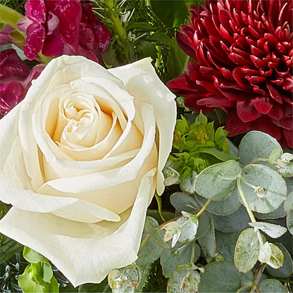 Cranberry Fizz Bouquet – MAGGIE'S FLORIST AND GIFTS, Decatur AL