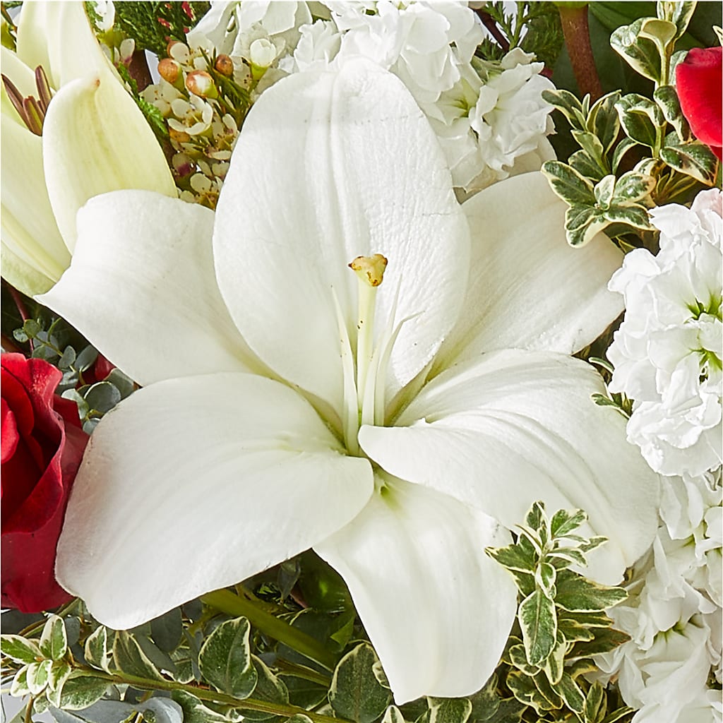 Twinkle Lights Bouquet – MAGGIE'S FLORIST AND GIFTS, Decatur AL