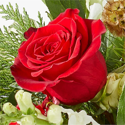 Deck the Halls Bouquet – MAGGIE'S FLORIST AND GIFTS, Decatur AL