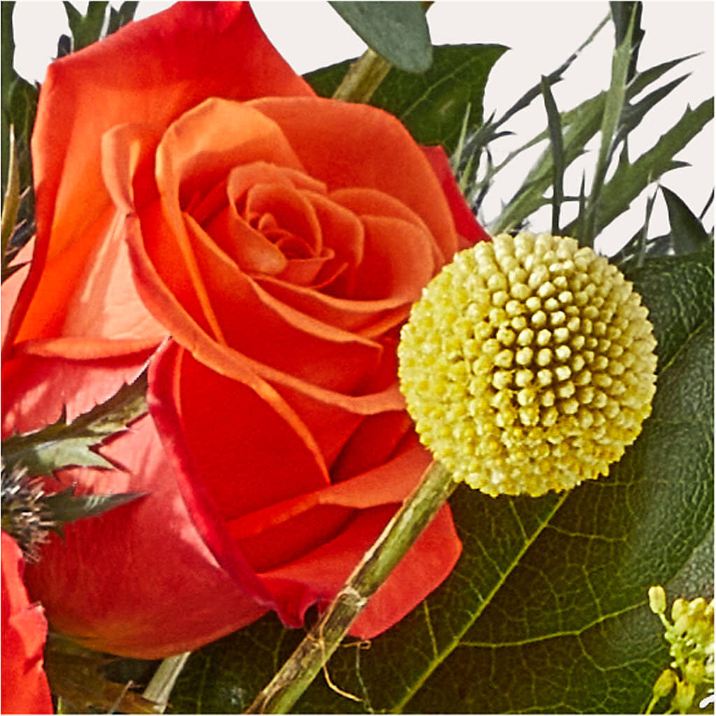 Disco Bouquet – MAGGIE'S FLORIST AND GIFTS, Decatur AL