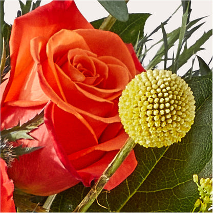 Disco Bouquet – MAGGIE'S FLORIST AND GIFTS, Decatur AL