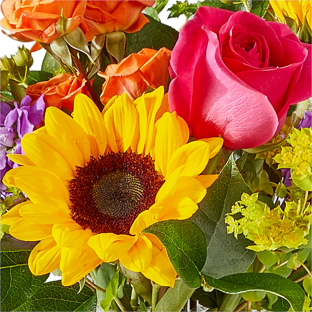 Vibrant Greetings Bouquet – MAGGIE'S FLORIST AND GIFTS, Decatur AL