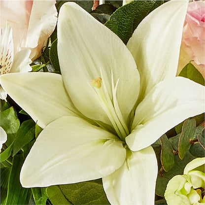 Ballet Slippers Bouquet – MAGGIE'S FLORIST AND GIFTS, Decatur AL