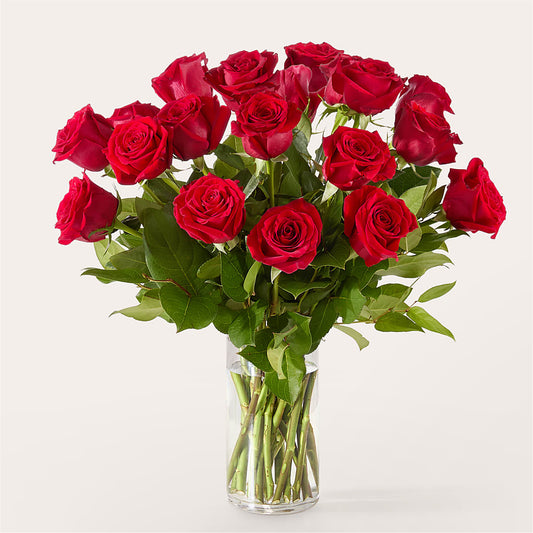 The One Red Rose Bouquet – MAGGIE'S FLORIST AND GIFTS, Decatur AL