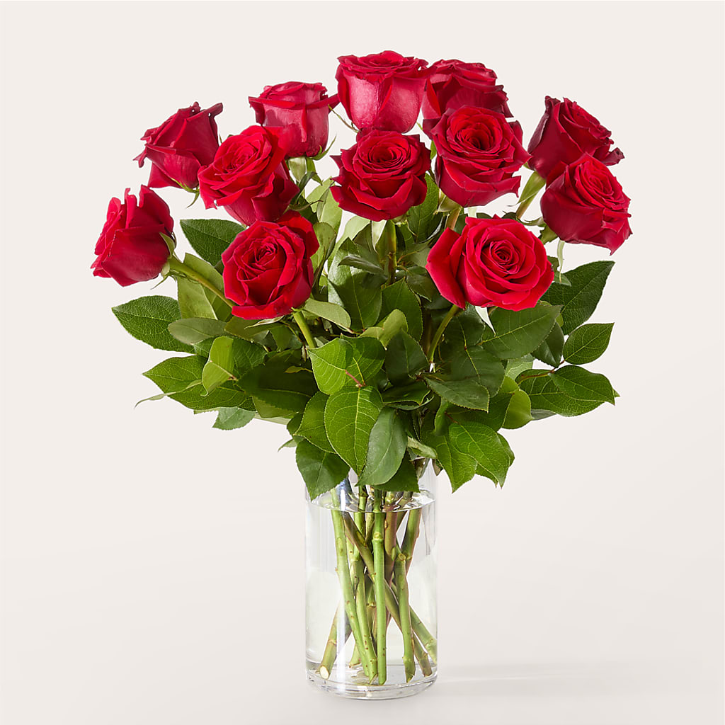 The One Red Rose Bouquet – MAGGIE'S FLORIST AND GIFTS, Decatur AL