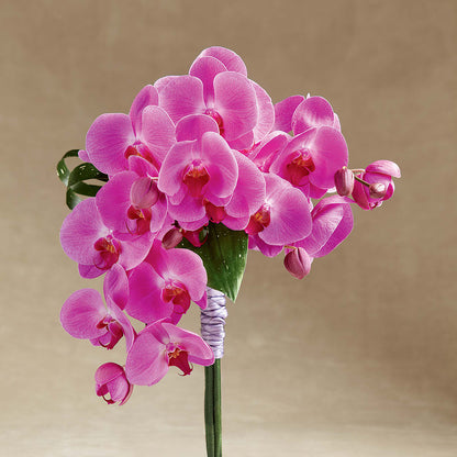 Glorious Bouquet – MAGGIE'S FLORIST AND GIFTS, Decatur AL