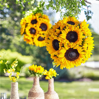 Sublime Garden Hanging Arrangement – MAGGIE'S FLORIST AND GIFTS, Decatur AL