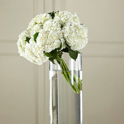 White Hydrangea Hand-Tied Bouquet – MAGGIE'S FLORIST AND GIFTS, Decatur AL