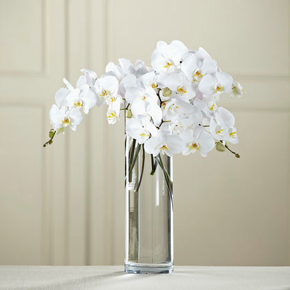White Phalaenopsis Bouquet – MAGGIE'S FLORIST AND GIFTS, Decatur AL